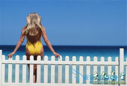 �����ֲ��ʡ���֬��������(7)