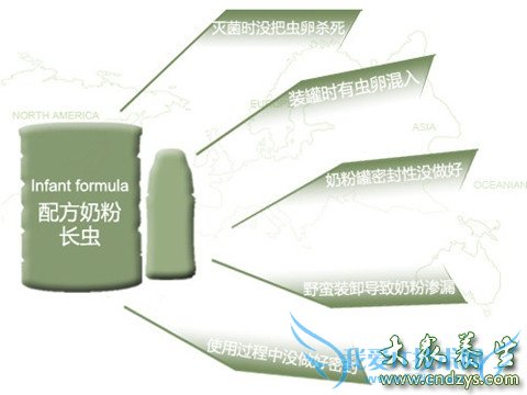 �Ӳ�֪����������̷ۻ᳤����(1)