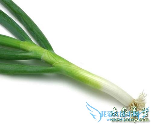 �и��ܳԴ����