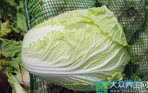 �������ܳԴ�ײ���