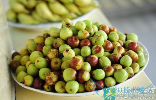 ��Ѫѹ�ܳԶ�����