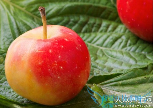 �����ܳ�ɳ����