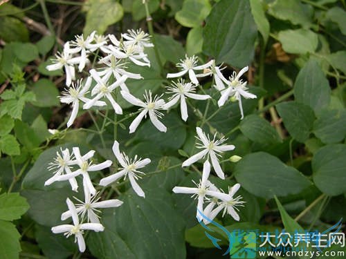 �и��ܳ���������