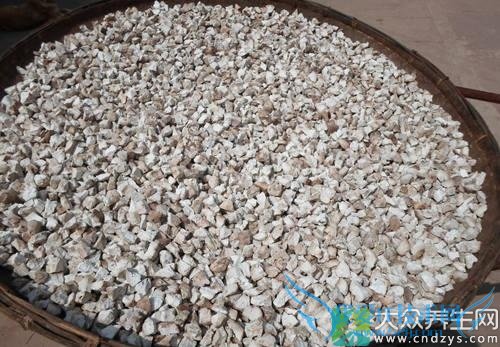 Ƥ�������ܳ������� 