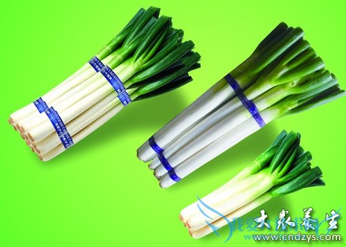 �������δ���� �Գ����Ը���(6)