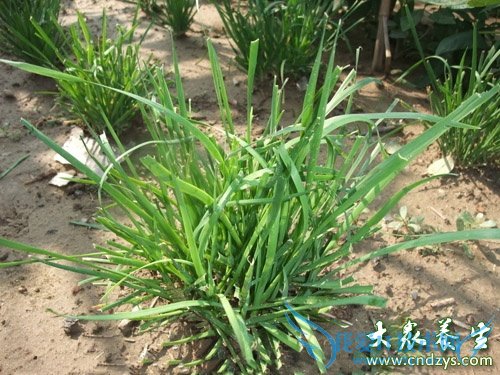 �������δ���� �Գ����Ը���(5)