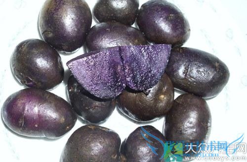 �������ܳԺ�������