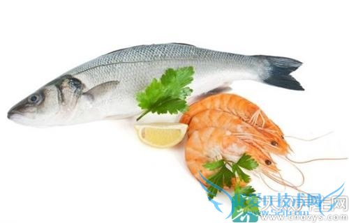 �ﶬ��ʿ�������ڲ����顱(3)