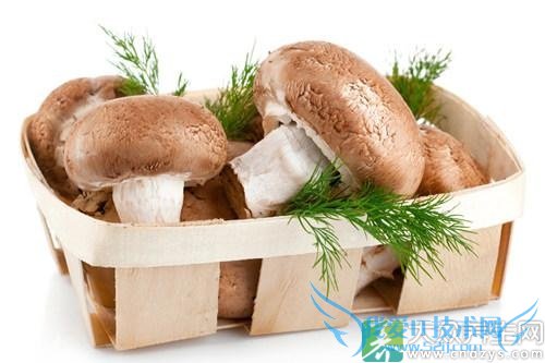 �����ڿ��Գ��㹽��