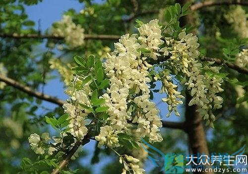 ��Ѫѹ�ܳԻ����� 