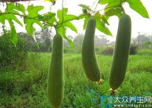 �����ܳ�˿����