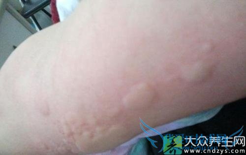 �˹�ݡ�������Ʒ���