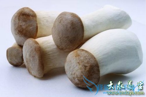 �и����ԳԼ��ȹ���