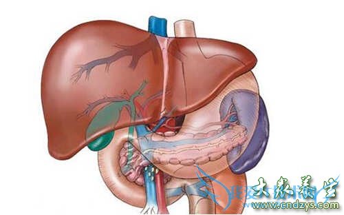 �ж�֬����