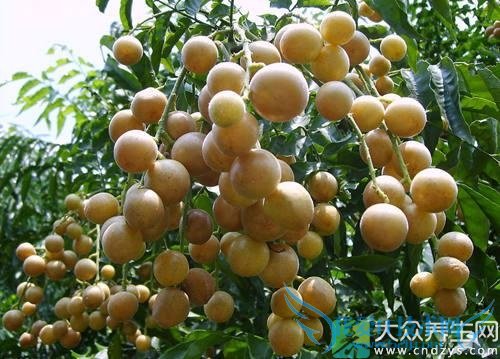 ��Ѫѹ�ܳԻ�Ƥ�� 