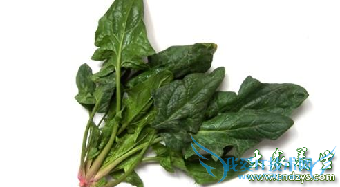 Ů�˳����߿���Ѫ�� ����������(4)