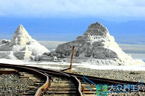 �������ܳԺ�����