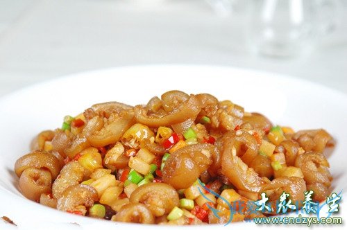 ����ָ����ıس�10ʳ��(5)