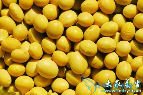 ����ָ����ıس�10ʳ��(9)