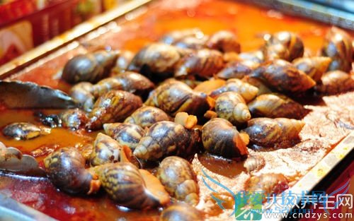 �������ܳ�������