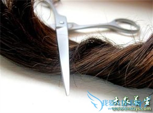 ��ʳ������������ݻ��㷢(1)