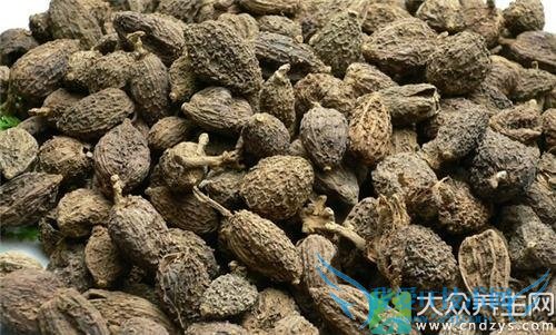 �����ܳ�ɰ����