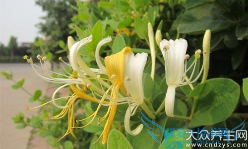 �и��ܳԽ�������