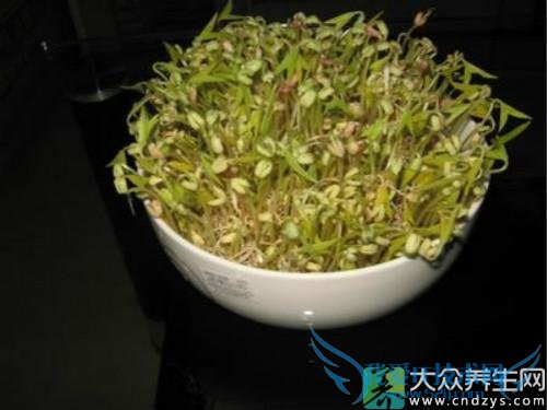  �����ܳ��̶�ѿ��