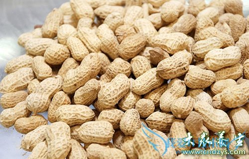 ����˯ǰ���ܳ�����ʳ��(5)