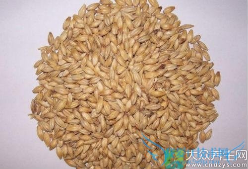 �и��ܳ���ѿ��