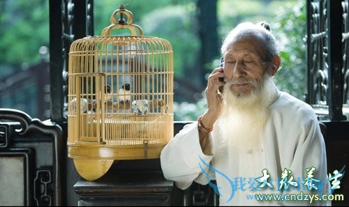 ����111�����˳�����ʳ�ؾ�(2)