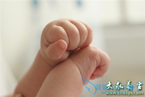 ��̥�������� ��ֻ�Ǽ��ʶ�(4)