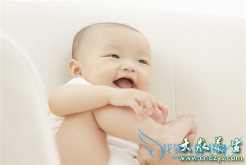 ��̥�������� ��ֻ�Ǽ��ʶ�(1)