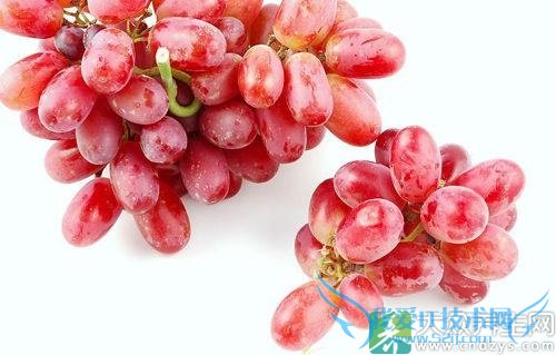 �������ܳ�������