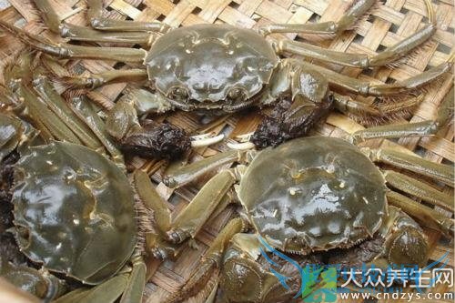 �������ܳԺ�з��