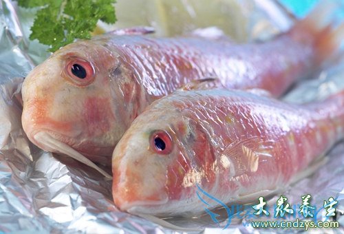 �������ܳ�������