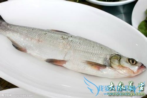 �и����Գ԰�������