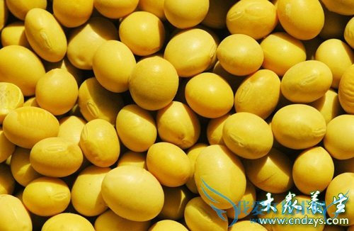 ��Ѫ֢֬������뽵֬(6)