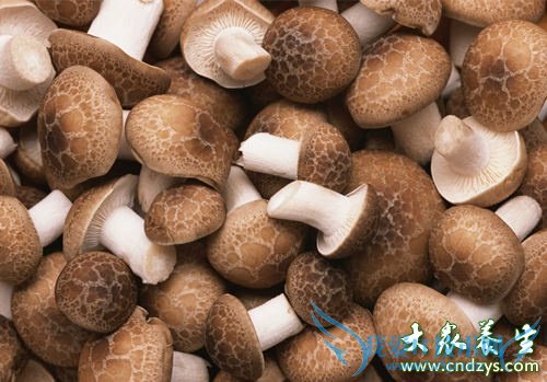 ��Ѫ֢֬������뽵֬(8)