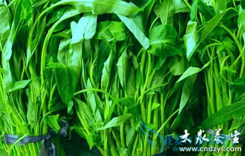 ��Ѫ֢֬������뽵֬(17)