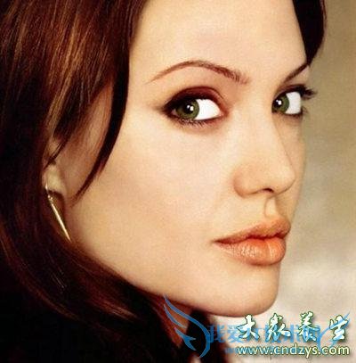 �������-��ʮ��ֻ����������(2)