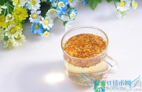 �����ܺȹ𻨲���