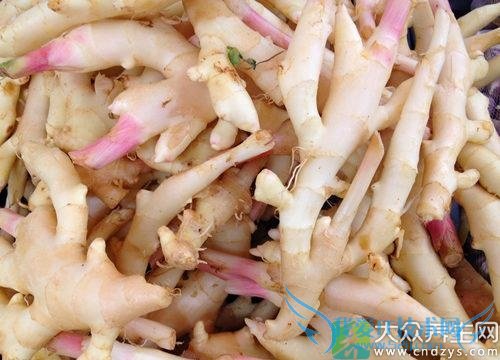 �����ڿ��ԳԽ��� 