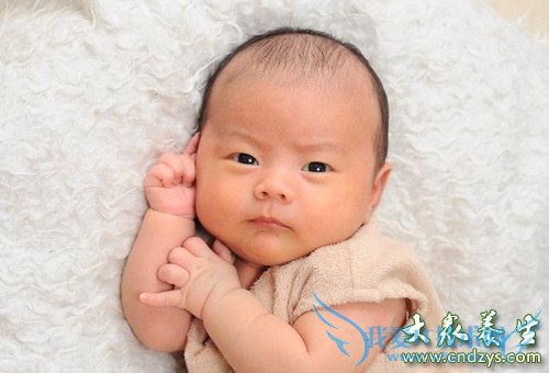 ������������ԭ��