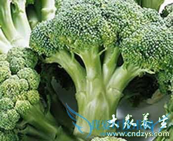 ����������6�ࡰ���˲ˡ� �������ɷ�ǰ���ٰ�(2)