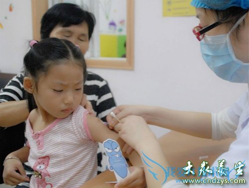 С����������������Щ������Ӧ��