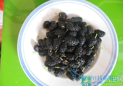 Ƥ�������ܳ�ɣ����  