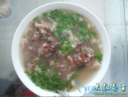 10��������Գ�C���ز�����(5)