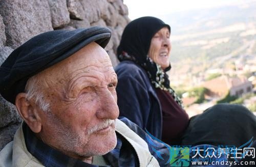 ���������ʳ�Ʒ�