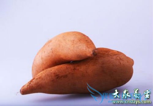 ���п��Գ�ѩ������